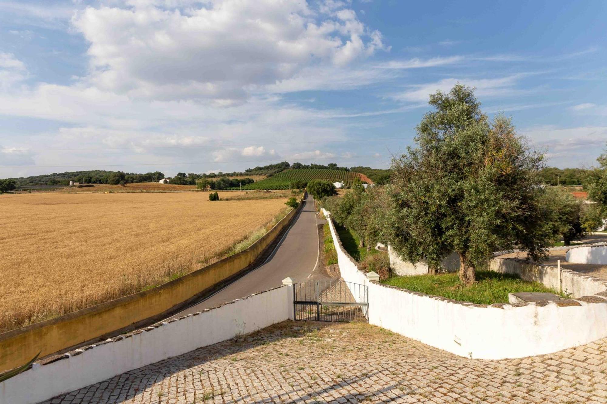 Monte Das Oliveiras - Casas De Campo Estremoz Buitenkant foto