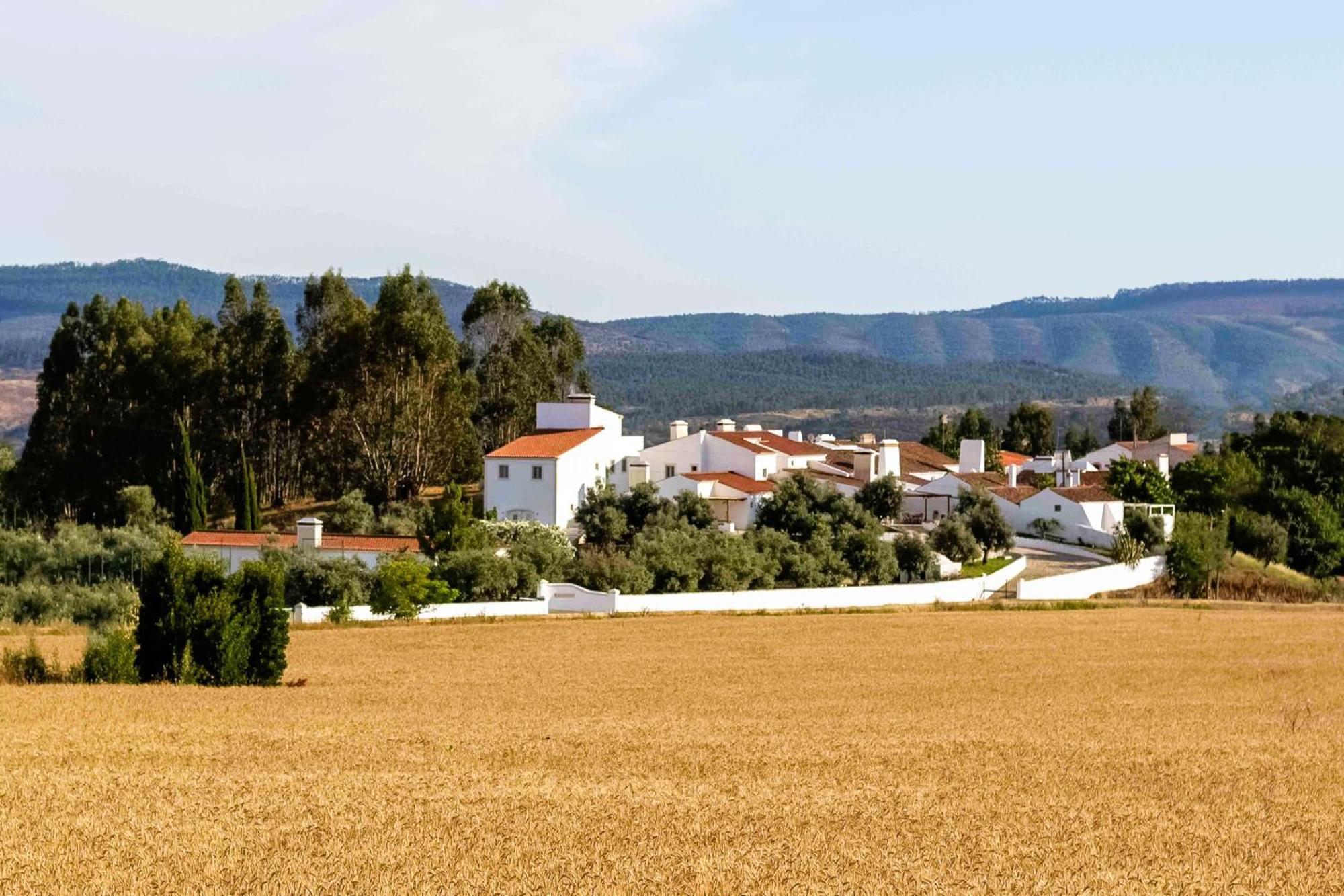 Monte Das Oliveiras - Casas De Campo Estremoz Buitenkant foto